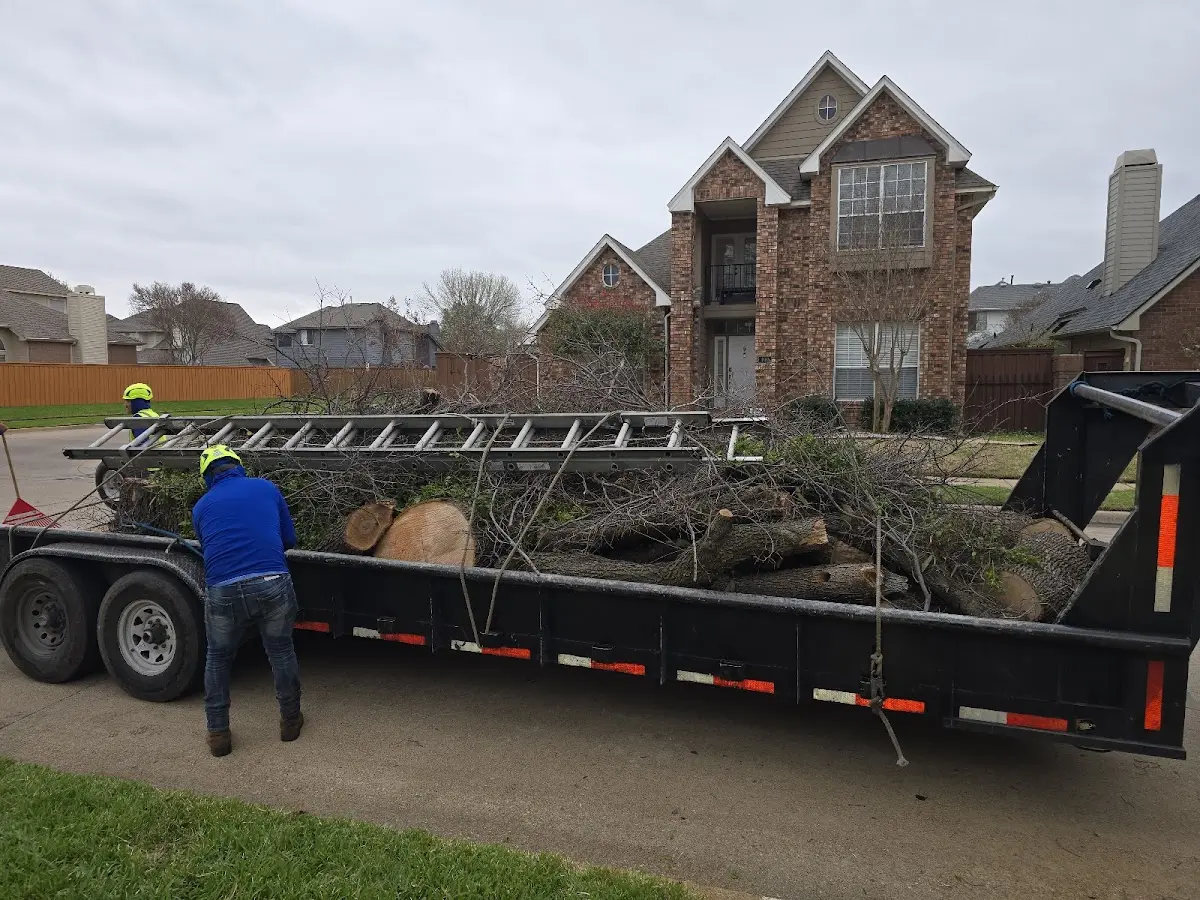 Expert Lot Clearing with proper safety equipment in Mill Creek